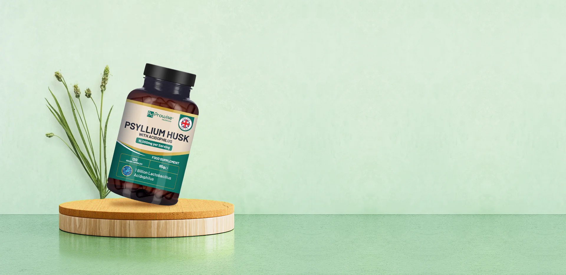 Elevate Your Vitality Every Day